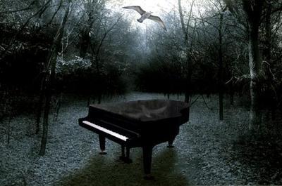 你發的那鋼琴+挺好看的