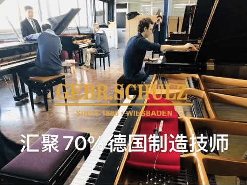 德國舒爾茲 斯坦伯格鋼琴 九大院校名師名琴 三角大鋼琴音樂室持續推進項目
