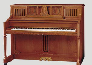 供應高檔尊貴精品鋼琴 歡迎選購 圖