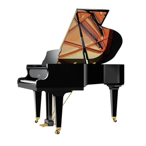 德國SCHIMMEL/舒密爾鋼琴產品專區