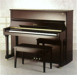 海運立式鋼琴到加拿大,你們能送貨上門并安裝好嗎 要不要另外收費