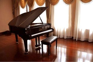 你還在跟 業余老師 學鋼琴嗎