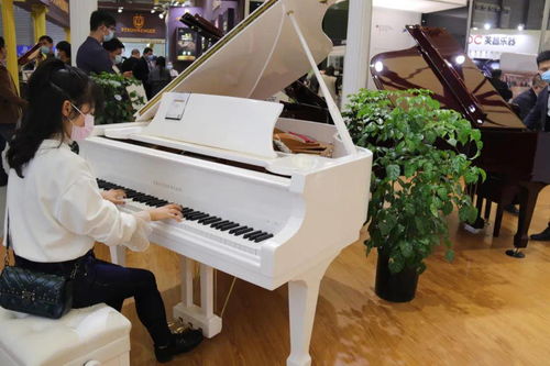 2020中國 上海 國際樂器展圓滿落幕,賽樂爾三益樂器與您明年再相會