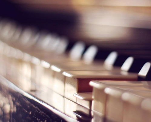 到底一周上幾節(jié)鋼琴課才是最好