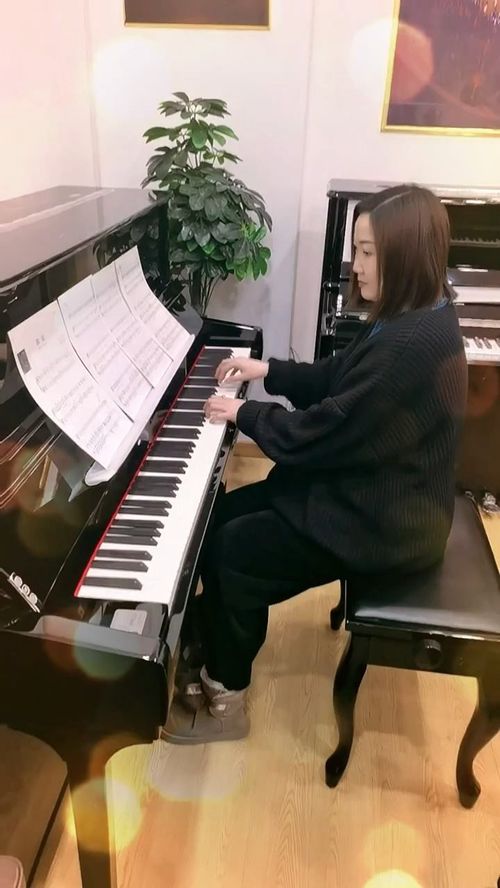 愷撒堡鋼琴 成人鋼琴教材