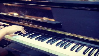 鋼琴曲演奏 –