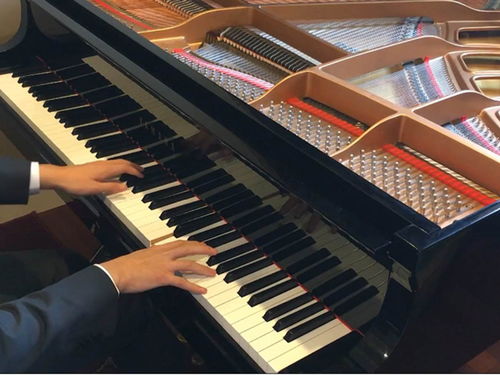 岳陽4萬左右鋼琴專業推薦 長沙藍音國產鋼琴