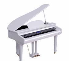 【高科利花園_專業運鋼琴,鋼琴運輸包裝一體化物流貨運公司】價格_廠家_圖片 -