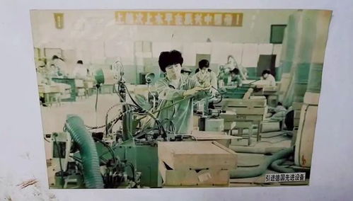 遼河故事⑨丨百年琴韻泛佳音