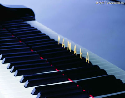 西式樂器0001-西式樂器圖-藝術圖庫-鋼琴黑白琴鍵