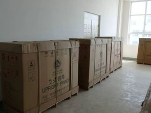 重磅 海倫營口廠區(qū)經(jīng)營進(jìn)展順利,東北大地奏響鋼琴制造事業(yè)強(qiáng)音