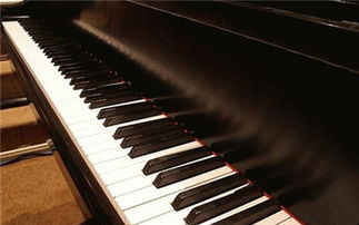 鋼琴培訓(xùn),鋼琴培訓(xùn)生產(chǎn)廠家,鋼琴培訓(xùn)價格